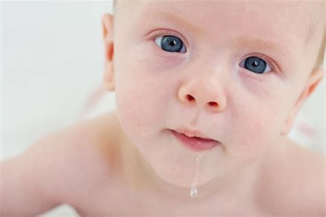 7 Home Remedies For Drooling In Babies | Search Home Remedy