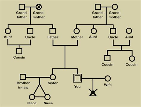 Help you make a genogram family tree by Roxwar