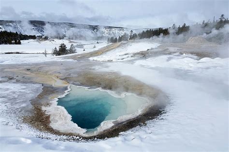 Winter Yellowstone tours from Jackson - Yellowstone Tours