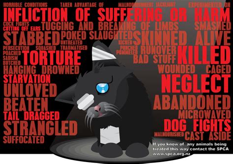 Sad Cat Animal Abuse Poster by BenSkylinegodzilla on DeviantArt