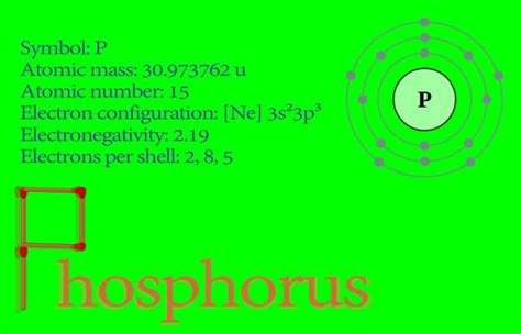 white phosphorus: Preparation, Properties, Structure and uses