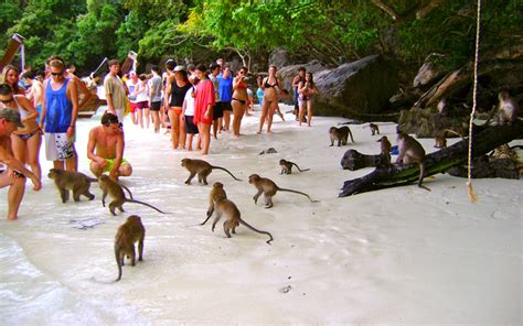 Phi Phi Island Tour - Krabi beach travel and tourist attractions