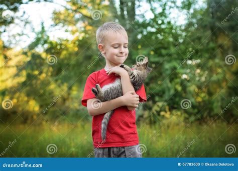 Boy playing with cat stock photo. Image of concepts, animal - 67783600