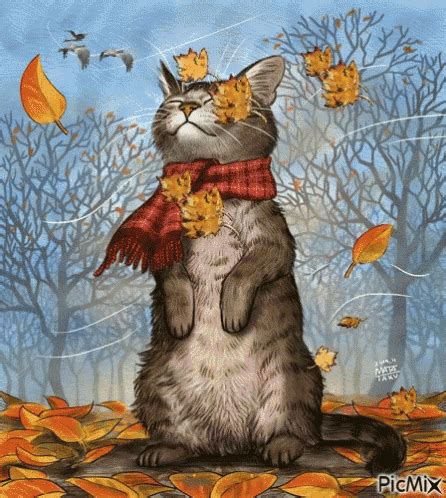 Fall Cat GIF - Fall Cat Frolic - Discover & Share GIFs