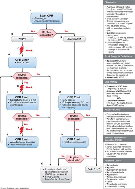 Adult Cardiac Arrest Algorithm-AHA 2018 Update. Abbreviations: CPR:... | Download Scientific Diagram