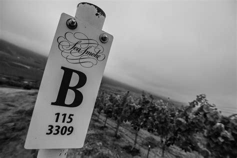 Sea Smoke Estate Vineyards