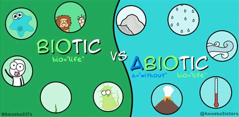 The Amoeba Sisters — Abiotic and biotic factors, know the difference!