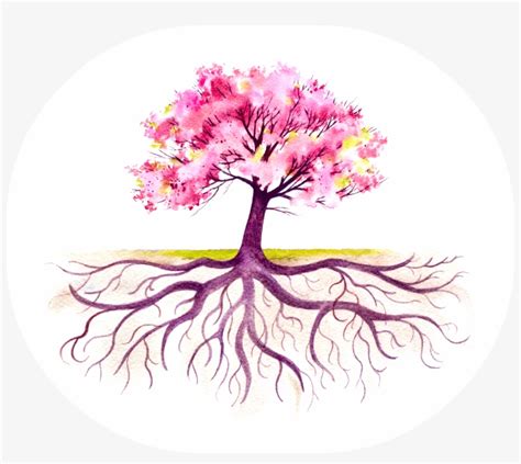 Silueta Arbol Con Raices Para Colorear - img-clam