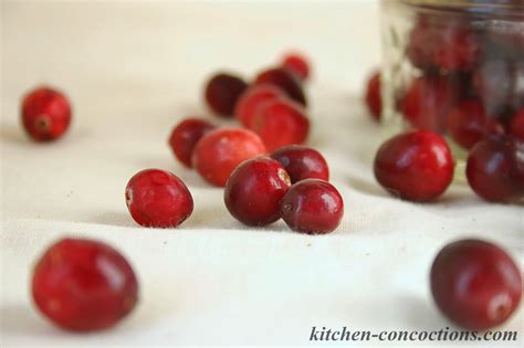 In Season: Cranberries - Kitchen Concoctions