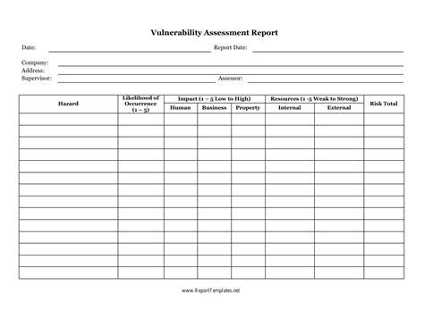 Vulnerability Management Report Template