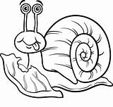 Cute Snail Coloring Page  Free Printable Pages For Kids sketch template