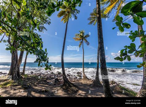 Anse Couleuvre beach - Le Precheur, Martinique French Antilles Stock Photo - Alamy