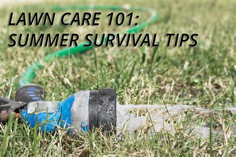 Lawn Survival Tips for the Summer Heat | Georgia Lawn Care