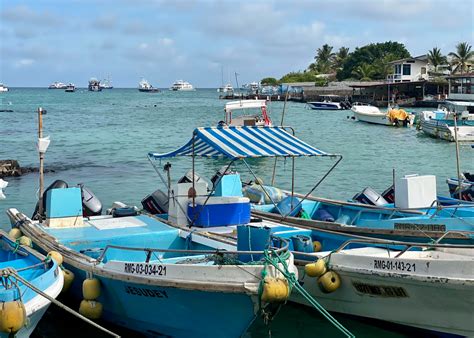 All About Puerto Ayora on Santa Cruz, Galapagos Islands – The Girl Who Goes