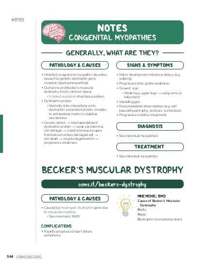 Muscular dystrophy | Osmosis