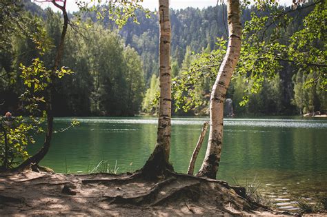 Lakeside Nature in Czech Republic Free Stock Photo | picjumbo