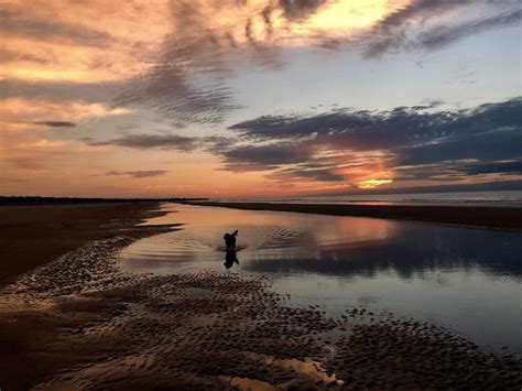 Isle of Palms Beach - 427 Photos & 118 Reviews - Beaches - 1-14th Ave ...