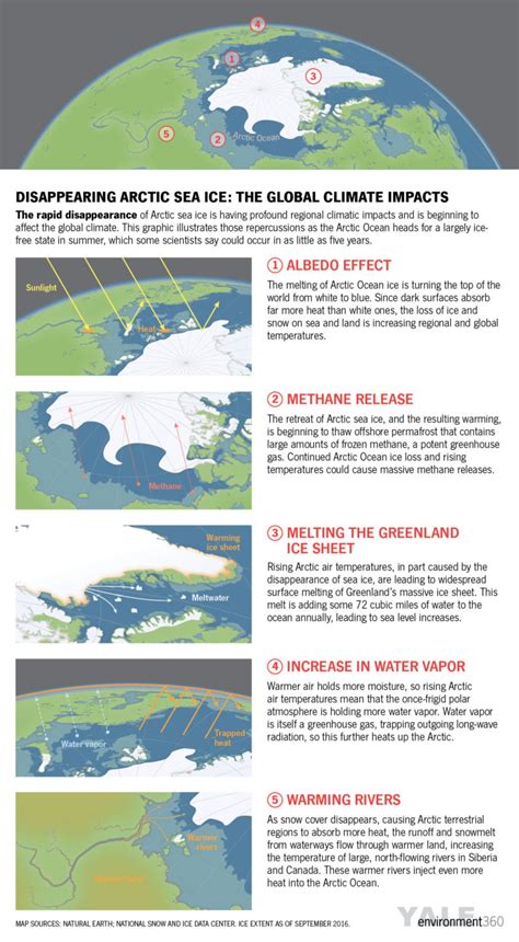 The Arctic: Feeling the heat and losing the ice – What goes into the ...