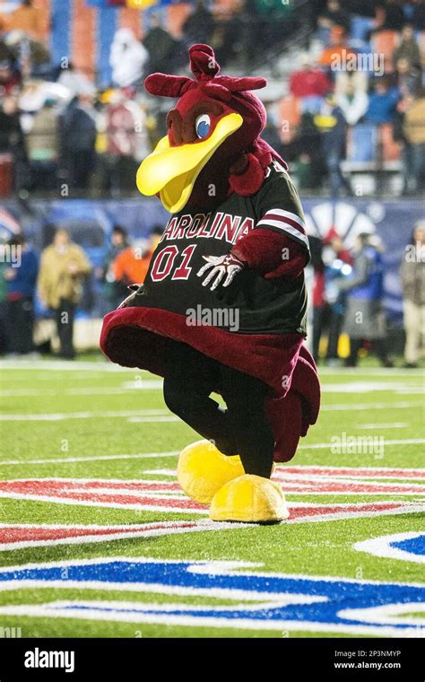 27 December 2014, South Carolina Gamecocks v Miami Hurricanes; South Carolina Gamecocks mascot ...