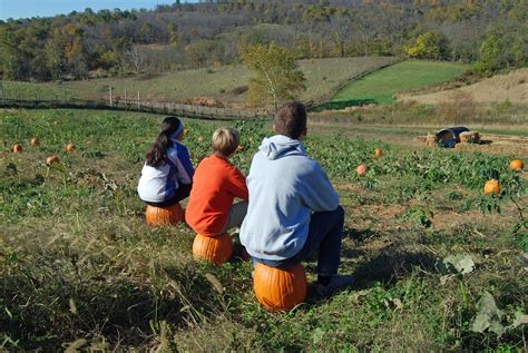 Sky Meadows Fall Festival 2014 | the pumpkin patch! Learn mo… | Flickr