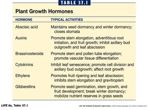 Which Of The Following Plant Hormones Promotes Cell Division - Cell Division