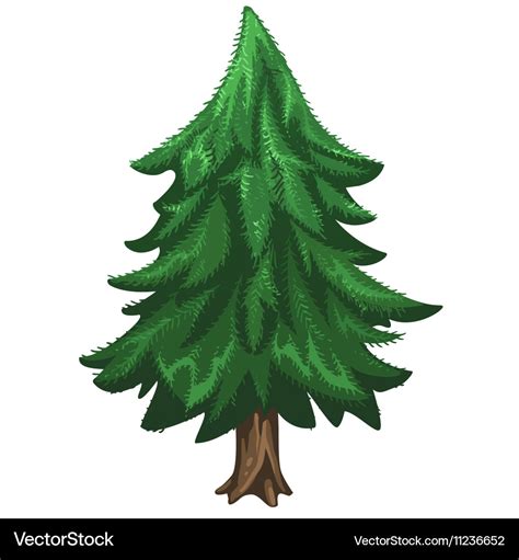 Coniferous pine tree christmas symbol Royalty Free Vector