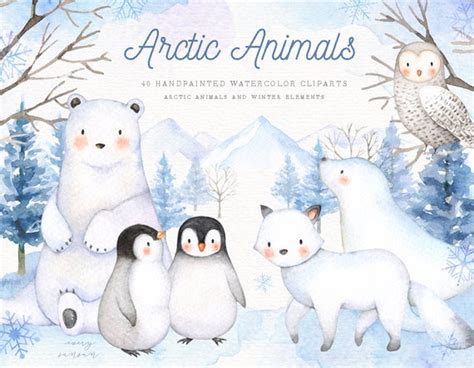 Arctic Animals Watercolor Clip Arts Holiday Winter Set Polar | Etsy