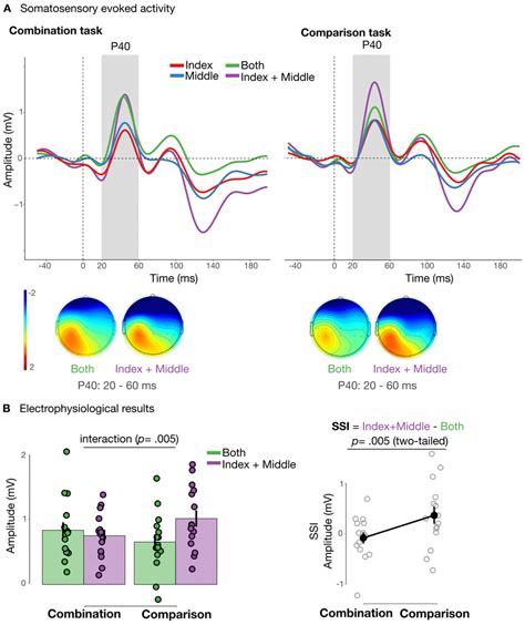 Electrophysiological results: somatosensory evoked potentials and... | Download Scientific Diagram