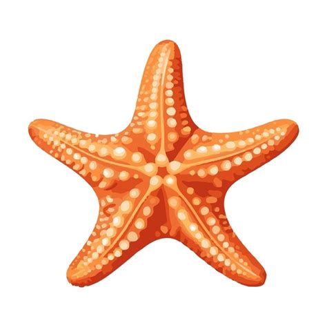 Detail Starfish Royalty-Free Images, Stock Photos & Pictures | Shutterstock