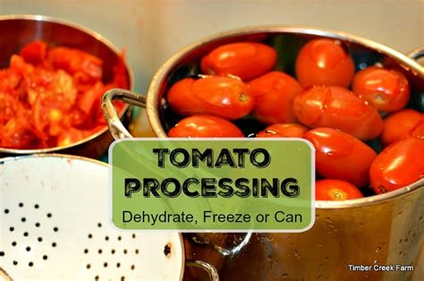 Tomato Processing - Canning Freezing Dehydrating - Timber Creek Farm