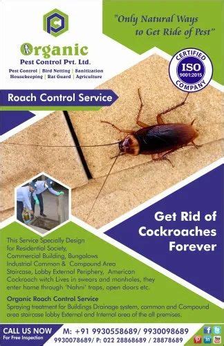 Roaches Pest Control Services at Rs 1500/square inch | termite control, pest control solutions ...