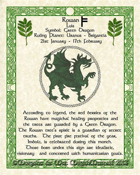 Green Dragon Rowan Celtic Zodiac Sign Print for Jan 21-feb 17 - Etsy