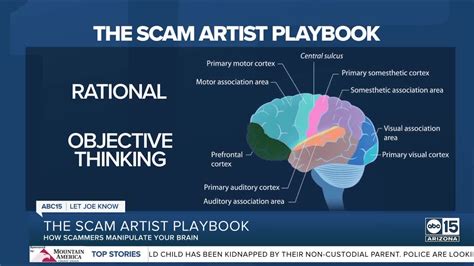 The Scam Artist Playbook: How scammers confuse your brain, so you say 'yes'