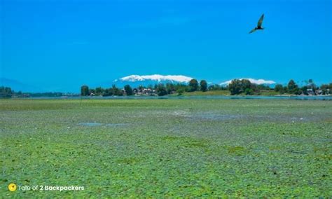 Beautiful Manasbal Lake | Tale of 2 Backpackers