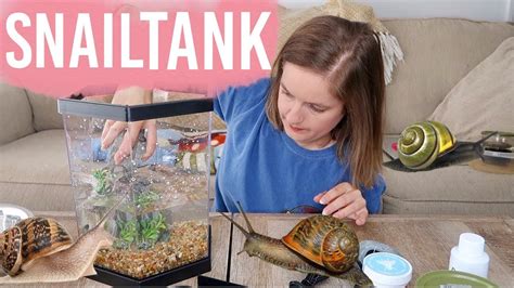 Setting Up My Aquatic Snail Tank - YouTube