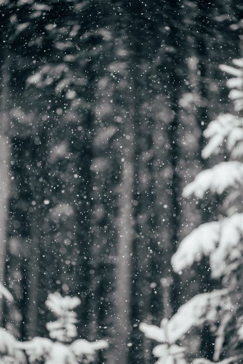 Snow Falling Wallpaper Hd