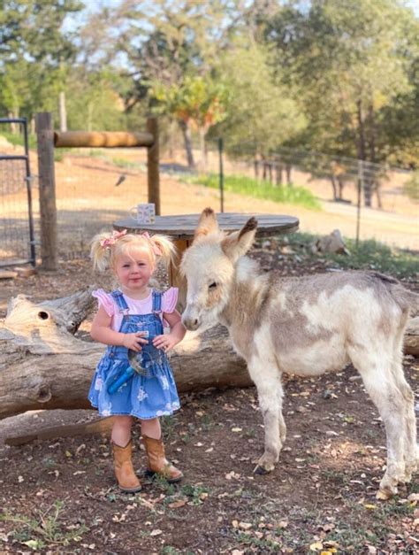 Baby Donkey Care | Thermaland Oaks