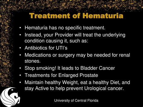 PPT - Hematuria PowerPoint Presentation, free download - ID:4794152