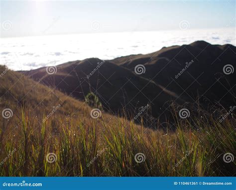 Sunrise at Mt. Pulag stock image. Image of level, park - 110461361