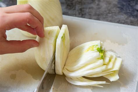 Roasted Fennel (Perfectly Cooked in the Oven) - Fifteen Spatulas