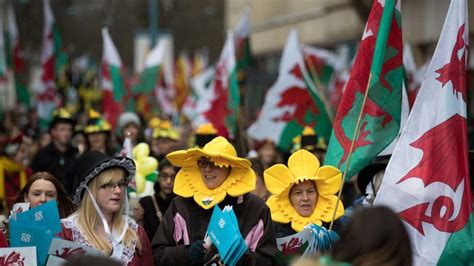 St David's Day: Fresh calls to make 1 March a Welsh holiday - BBC News