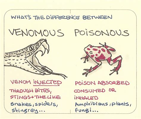 Venomous, poisonous - what’s the difference - Sketchplanations