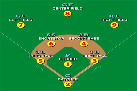 What are Baseball Position Numbers? | Sports Domain Lab