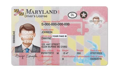 Maryland Fake ID – Your Fake ID