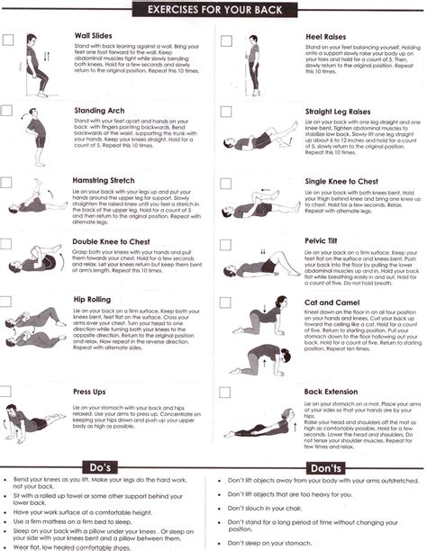 Back pain Exercises and Instructions | Food & Health | PiTribe