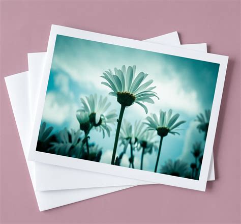 Field of Daisies Printable Digital Download Photography - Etsy