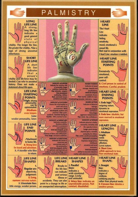 Palmistry and Palm Reading Secrets - PositiveMed | Palmistry, Palm reading, Book of shadows