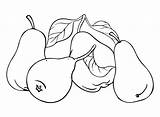 Pears Coloring Pages Printable For Free Download sketch template