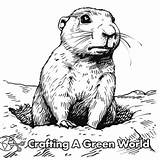 Prairie Dog Coloring Pages  Free & Printable sketch template