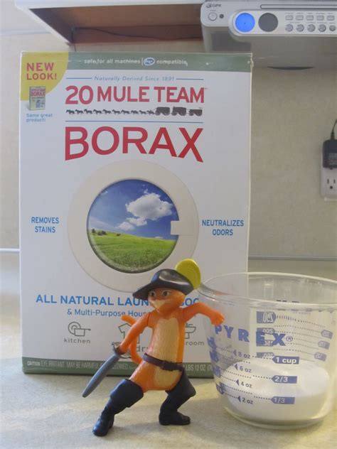 Step-by-Step Instructions - Borax Ant Killer